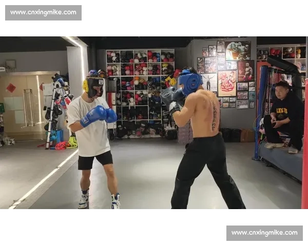 搏击vs拳击全面对比解析技术规则训练与实战差异发展历史观赛体验